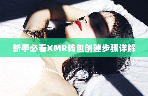 新手必看XMR钱包创建步骤详解