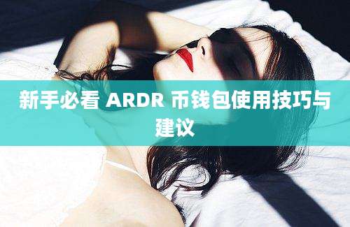 新手必看 ARDR 币钱包使用技巧与建议