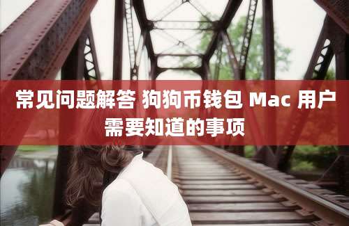 常见问题解答 狗狗币钱包 Mac 用户需要知道的事项