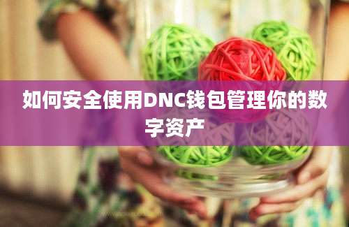 如何安全使用DNC钱包管理你的数字资产