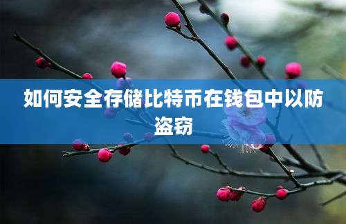 如何安全存储比特币在钱包中以防盗窃