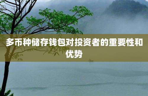 多币种储存钱包对投资者的重要性和优势