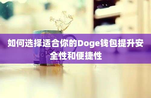 如何选择适合你的Doge钱包提升安全性和便捷性