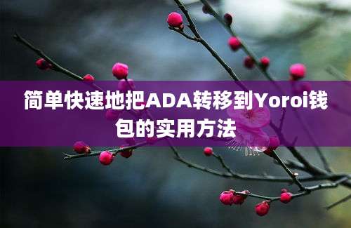 简单快速地把ADA转移到Yoroi钱包的实用方法