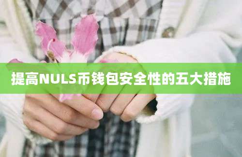 提高NULS币钱包安全性的五大措施