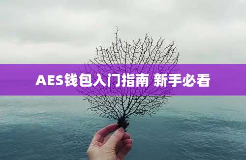 AES钱包入门指南 新手必看