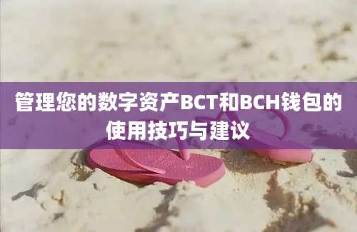 管理您的数字资产BCT和BCH钱包的使用技巧与建议