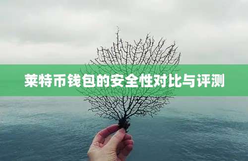 莱特币钱包的安全性对比与评测