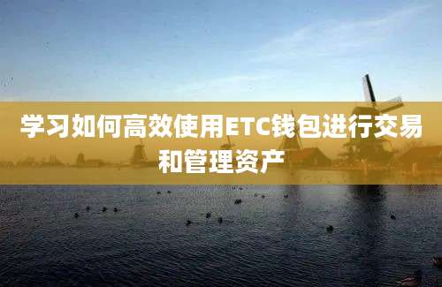 学习如何高效使用ETC钱包进行交易和管理资产