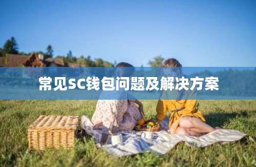 常见SC钱包问题及解决方案