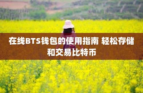 在线BTS钱包的使用指南 轻松存储和交易比特币