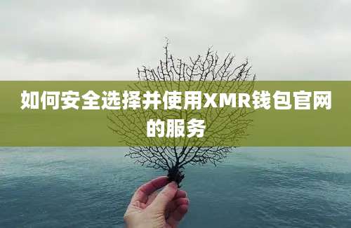 如何安全选择并使用XMR钱包官网的服务