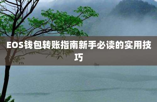 EOS钱包转账指南新手必读的实用技巧