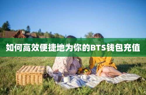 如何高效便捷地为你的BTS钱包充值