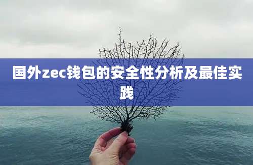 国外zec钱包的安全性分析及最佳实践