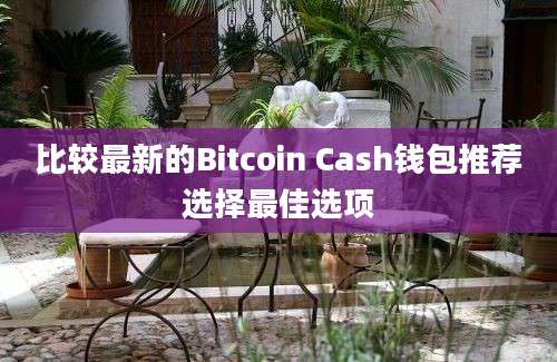 比较最新的Bitcoin Cash钱包推荐选择最佳选项