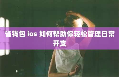 省钱包 ios 如何帮助你轻松管理日常开支