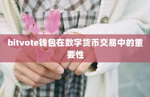 bitvote钱包在数字货币交易中的重要性