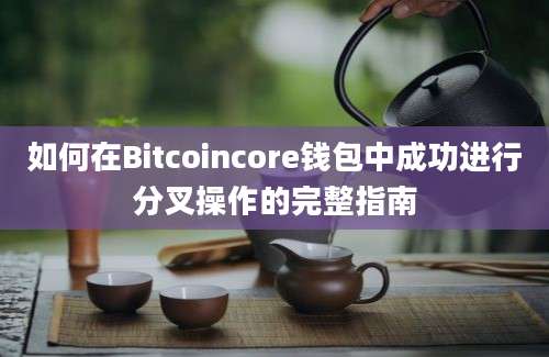 如何在Bitcoincore钱包中成功进行分叉操作的完整指南