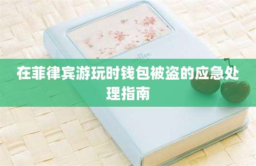 在菲律宾游玩时钱包被盗的应急处理指南