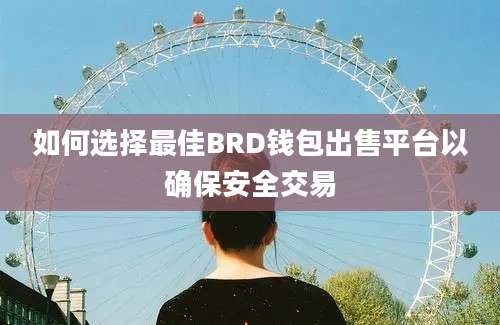 如何选择最佳BRD钱包出售平台以确保安全交易