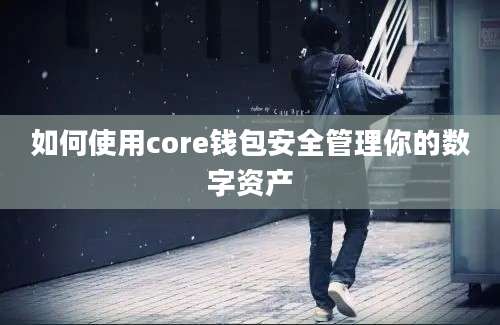 如何使用core钱包安全管理你的数字资产