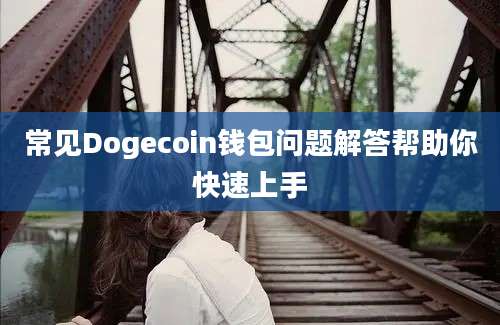 常见Dogecoin钱包问题解答帮助你快速上手