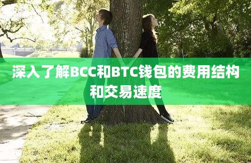 深入了解BCC和BTC钱包的费用结构和交易速度