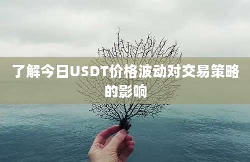 了解今日USDT价格波动对交易策略的影响