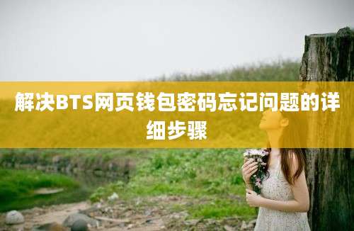 解决BTS网页钱包密码忘记问题的详细步骤