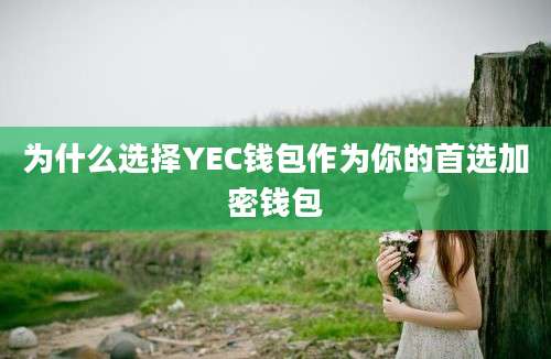 为什么选择YEC钱包作为你的首选加密钱包