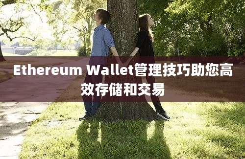 Ethereum Wallet管理技巧助您高效存储和交易