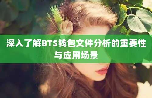 深入了解BTS钱包文件分析的重要性与应用场景