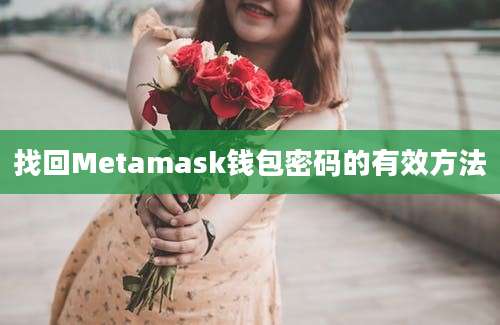 找回Metamask钱包密码的有效方法