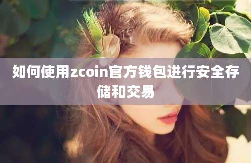 如何使用zcoin官方钱包进行安全存储和交易