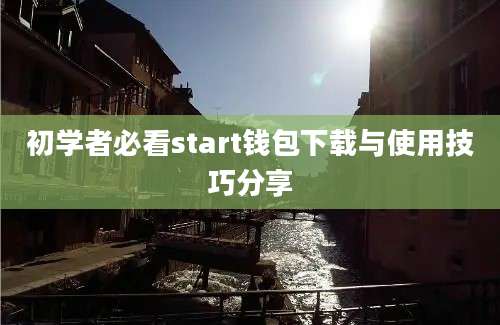 初学者必看start钱包下载与使用技巧分享