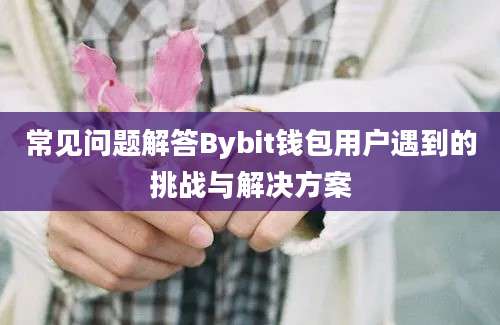 常见问题解答Bybit钱包用户遇到的挑战与解决方案