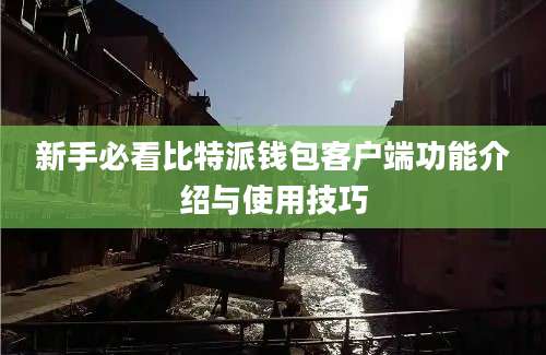 新手必看比特派钱包客户端功能介绍与使用技巧