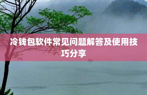 冷钱包软件常见问题解答及使用技巧分享