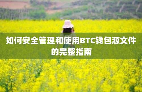 如何安全管理和使用BTC钱包源文件的完整指南