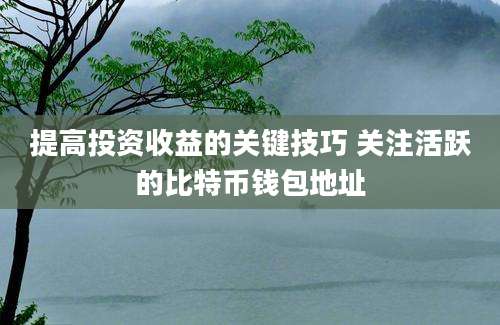 提高投资收益的关键技巧 关注活跃的比特币钱包地址