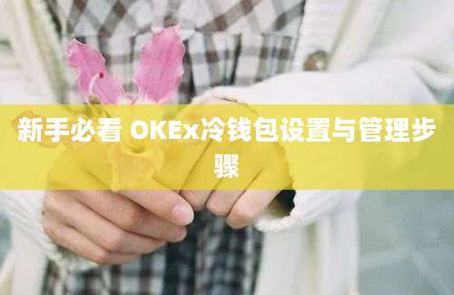 新手必看 OKEx冷钱包设置与管理步骤