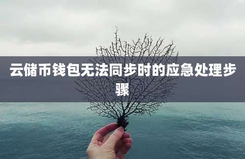 云储币钱包无法同步时的应急处理步骤