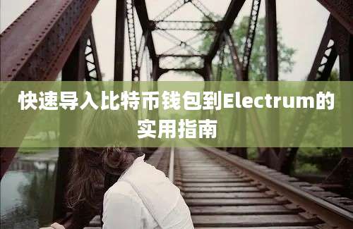 快速导入比特币钱包到Electrum的实用指南