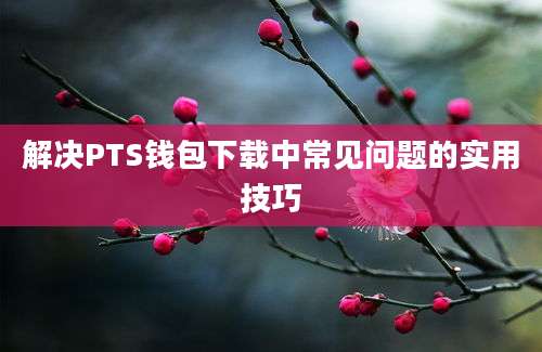 解决PTS钱包下载中常见问题的实用技巧