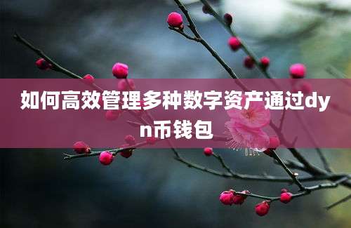 如何高效管理多种数字资产通过dyn币钱包