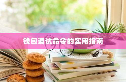 钱包调试命令的实用指南