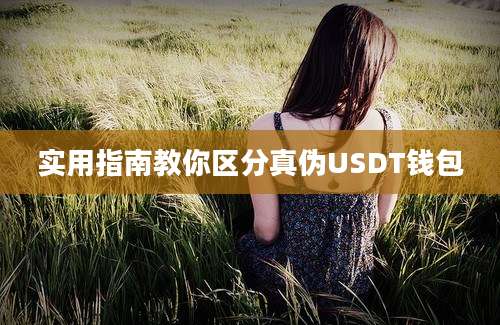 实用指南教你区分真伪USDT钱包