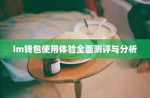 im钱包使用体验全面测评与分析