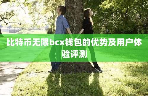 比特币无限bcx钱包的优势及用户体验评测